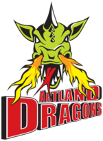 Artland Dragons (QTSV Quakenbrück)