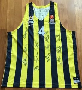Fenerbahçe 2018 -19 Home jersey